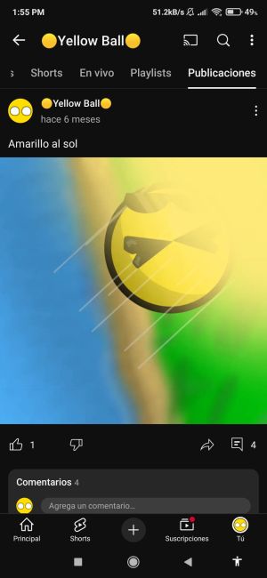 Screenshot 2025-10-18-13-55-56-441 com.google.android.youtube.jpg