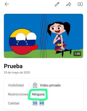 Captura de pantallaSINRETPC.jpg